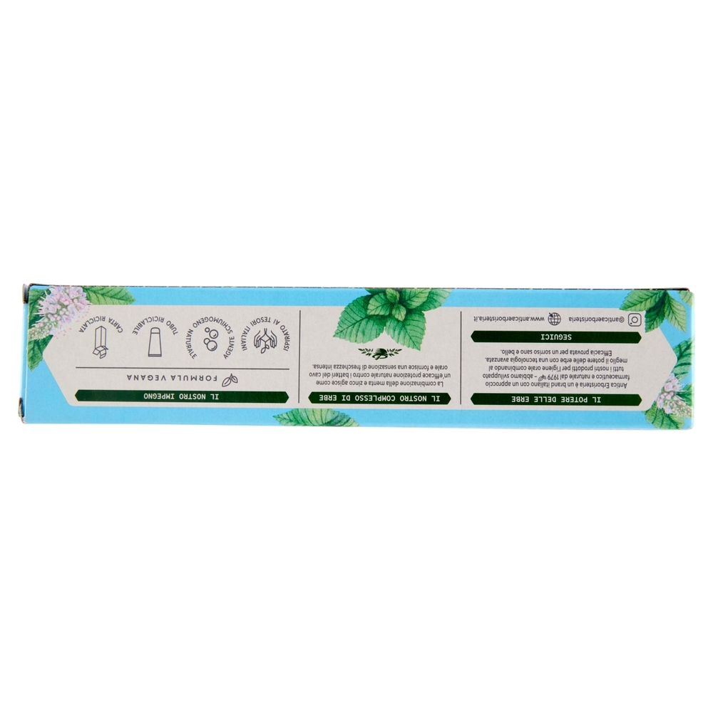 Antica Erboristeria Dentifricio Fresco Polare Menta e Zinco 75 ml